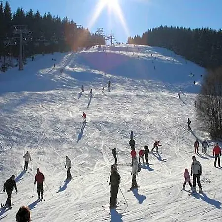Hotel With Terrace Near Niedersfeld Forest Winterberg