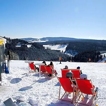 Hotel With Terrace Near Niedersfeld Forest