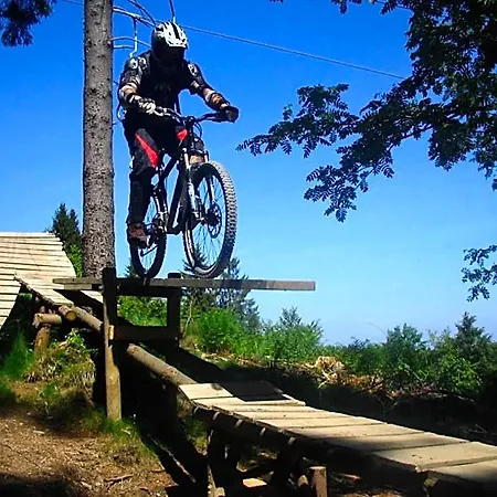Hotel With Terrace Near Niedersfeld Forest